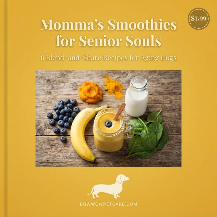 Dear Momma Gail: Pure Devotion — The Quiet Love That Keeps Them Going