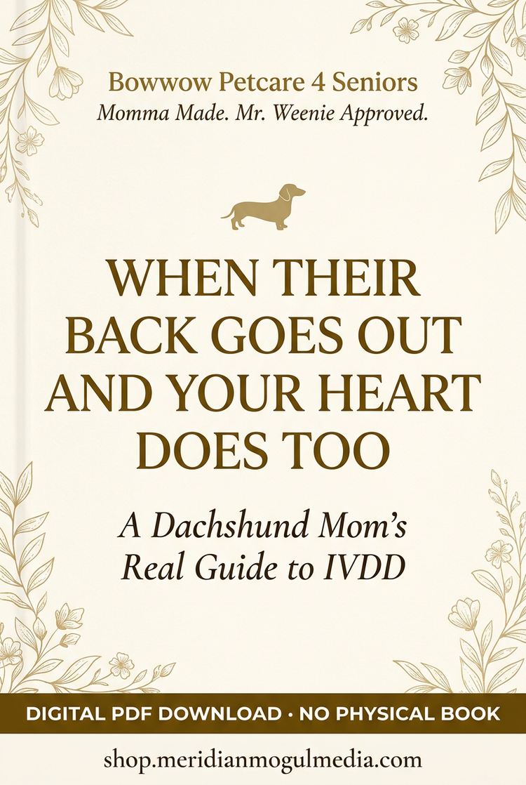 When Their Back Goes Out and Your Heart Does Too digital PDF IVDD guide cover, with cream-and-gold floral details and a dachshund silhouette.”