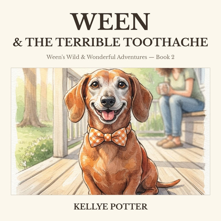 Ween & the Terrible Toothache book cover